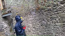 acastle
                          100750.jpg